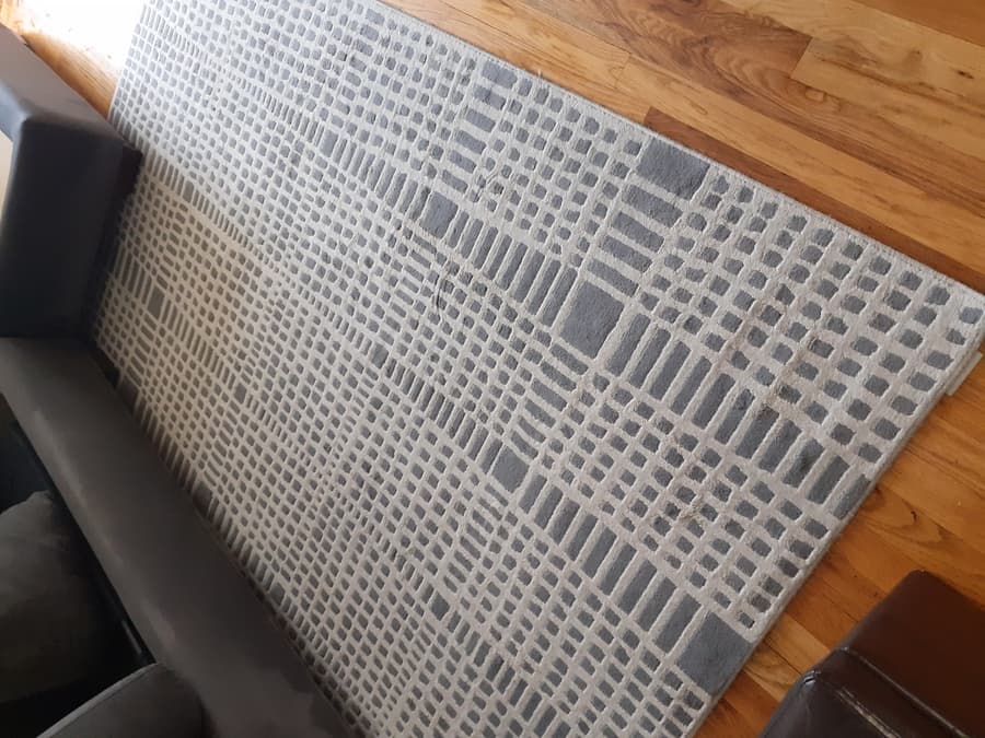 professional rug cleaning nyc