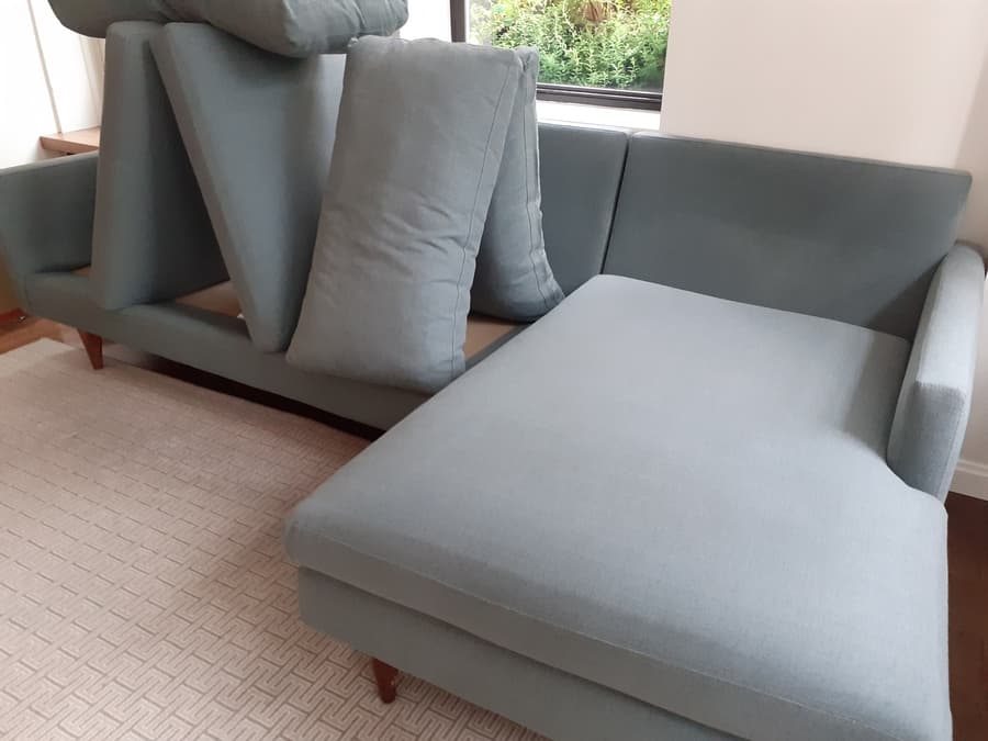 carpet mold removal