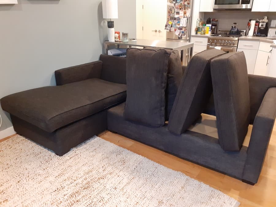 best urine remover for carpet
