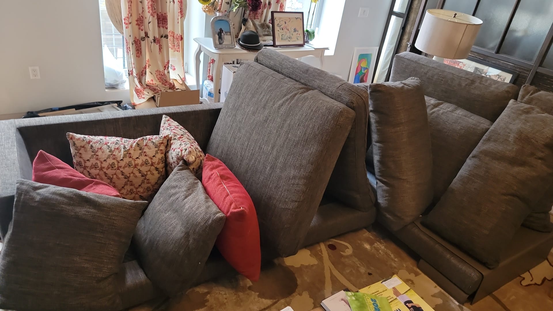 couch cleaning service