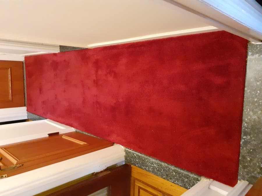 rug cleaning service