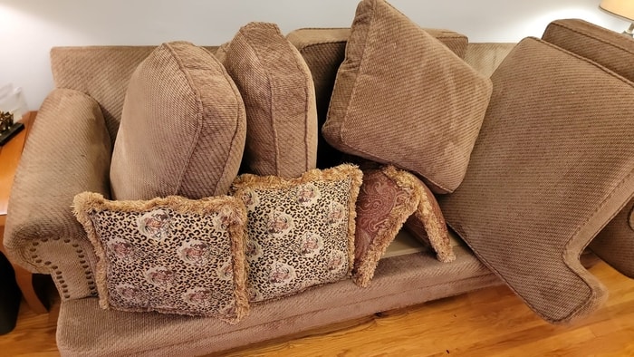 professional furniture cleaning near me