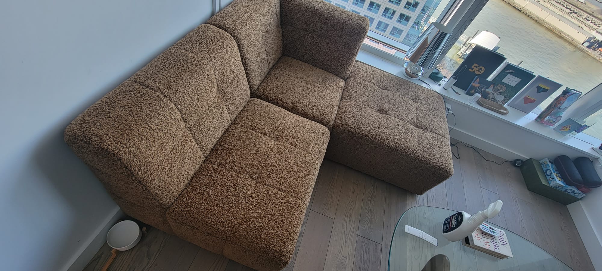 how to get rid of bedbugs in a couch