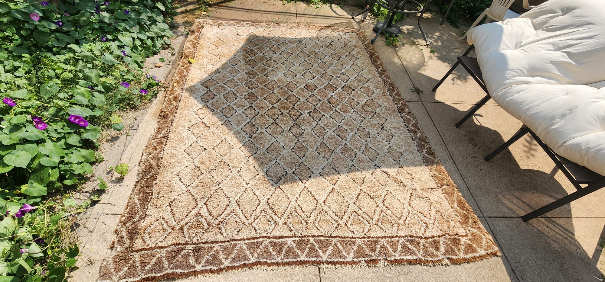 carpet cleaning companies
