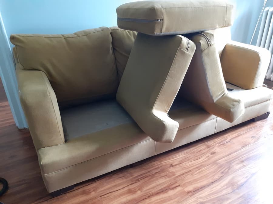 cleaner for fabric couch